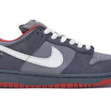 Nike SB Dunk Low Staple NYC Pigeon